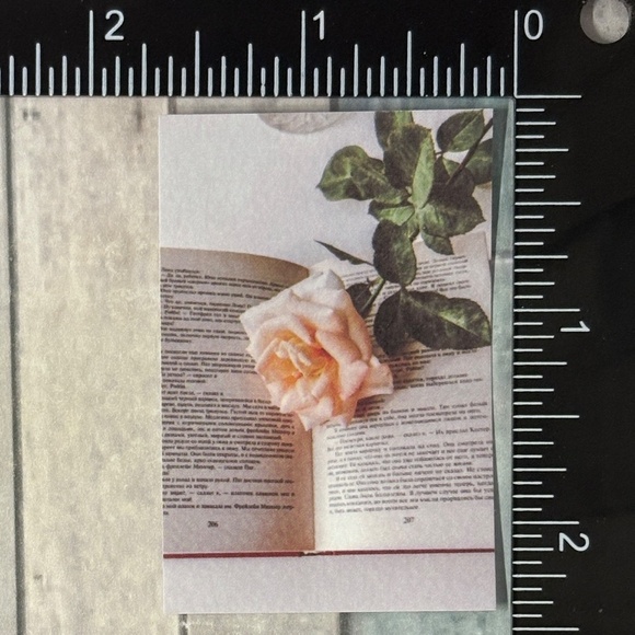 🌀10/$10🌀 White Dream Reusable Washi Sticker Decal - Picture 1 of 1